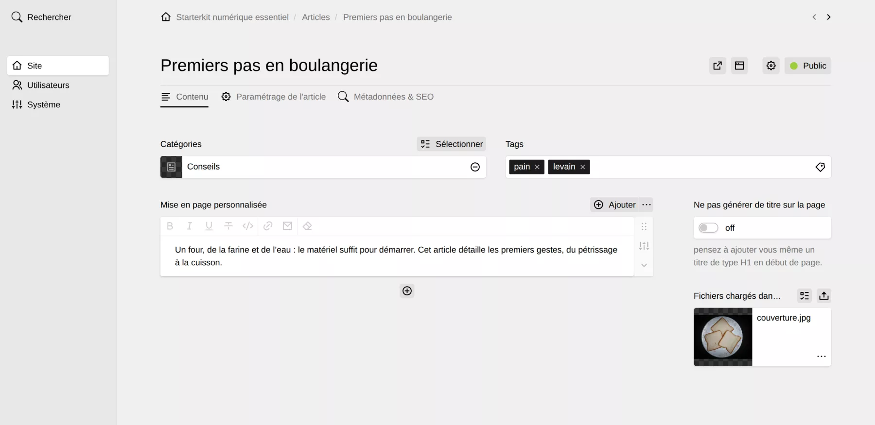 Les champs Catégories et Tags, en haut de l’onglet « Contenu » d’un article.
