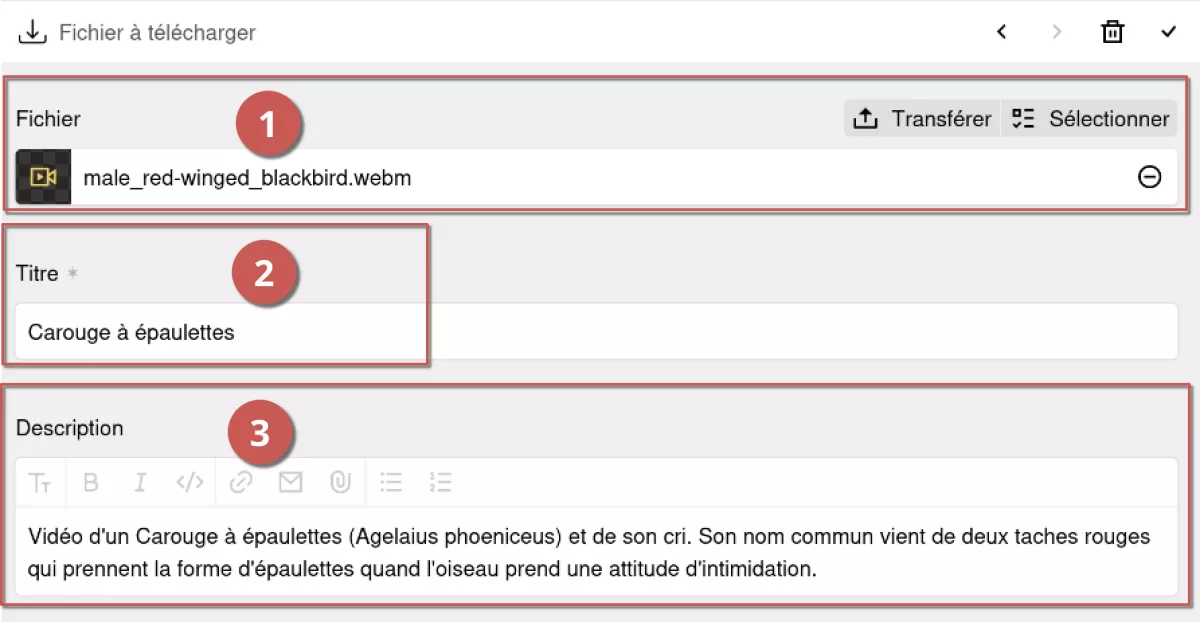 Ajout d’un fichier à télécharger dans l’espace d’administration, annoté