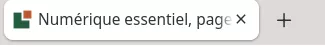 Aperçu du favicon dans un onglet de navigateur, en thème clair et en thème sombre.