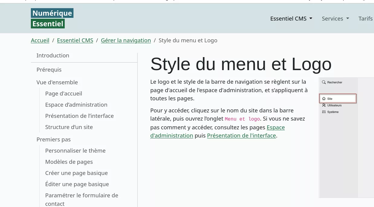 Image du site lorsqu’il a un logo de type image "Numérique Essentiel" avec couleurs